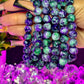 Beaded Bracelet Purple Lagoon (1pc)