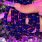 Beaded Bracelet| Royal Blues