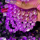 Beaded Bracelet | Purple Splatter